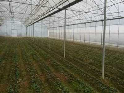 萊蕪市萊城區蔚霖節水灌溉產品經營部